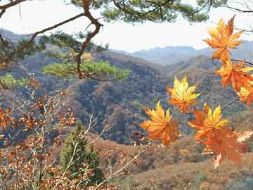 小米向SU7车主赠送“OK”气门芯帽 新年福利来袭