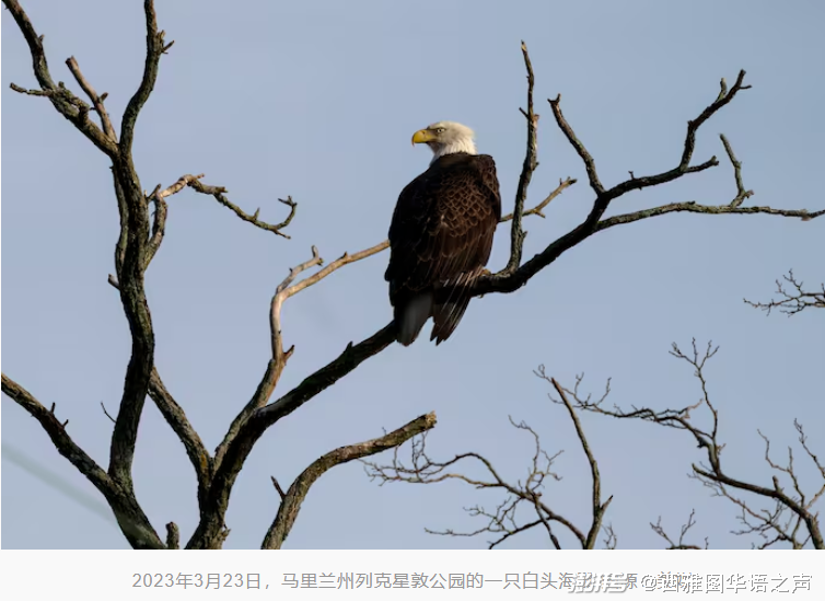 2025年1月2日 第118页