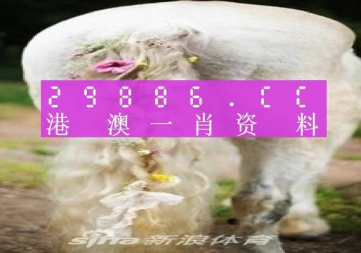 2024澳门最准四不像生肖,3网通用：安装版v171.805_精选作答解释落实_安装版v699.281