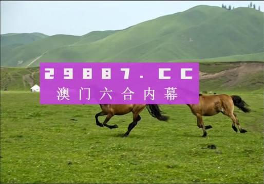 实时报 第221页