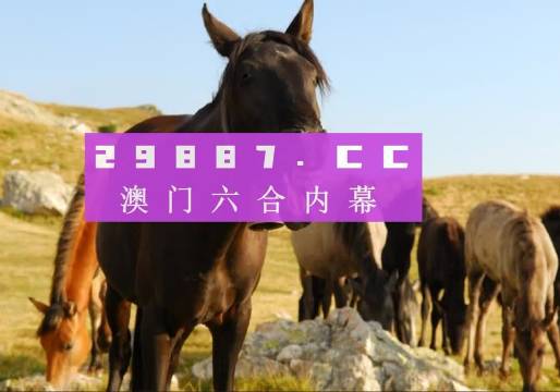 新澳门一肖中100%期期准_放松心情的绝佳选择_安装版v969.129