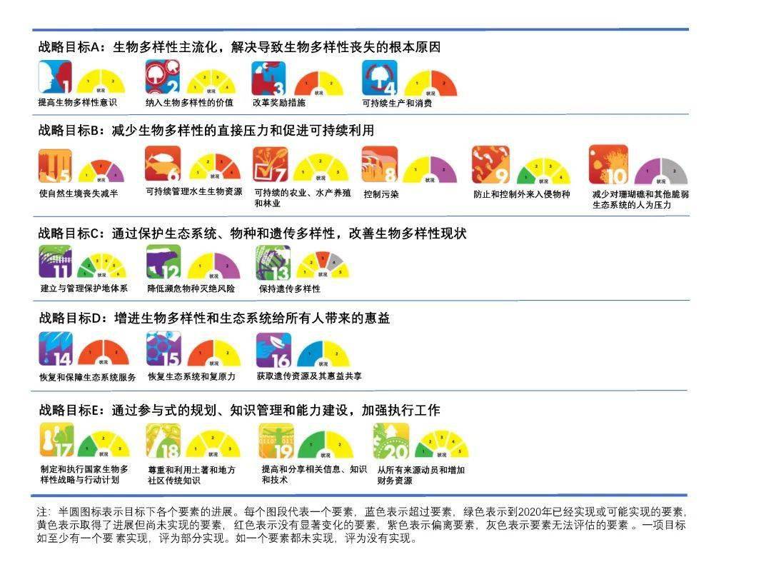 177188白小姐王中王手机版_详细解答解释落实_安装版v440.097